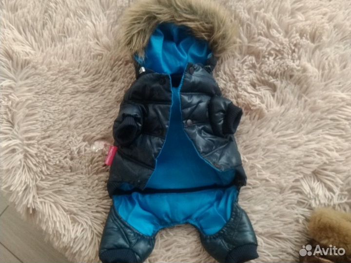 Одежда для маленьких собак и кошек