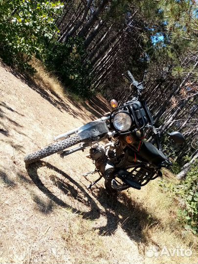 Мопед Regulmoto Alpha RM-3 (Альфа)