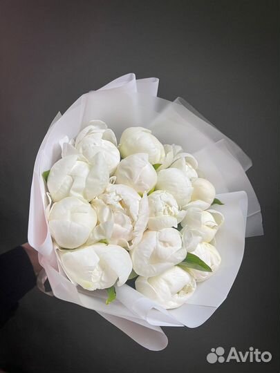 Букет цветов Пионы 9/15/25/51 с доставкой