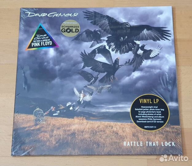 Pink Floyd, David Gilmour LP Vinyl Original