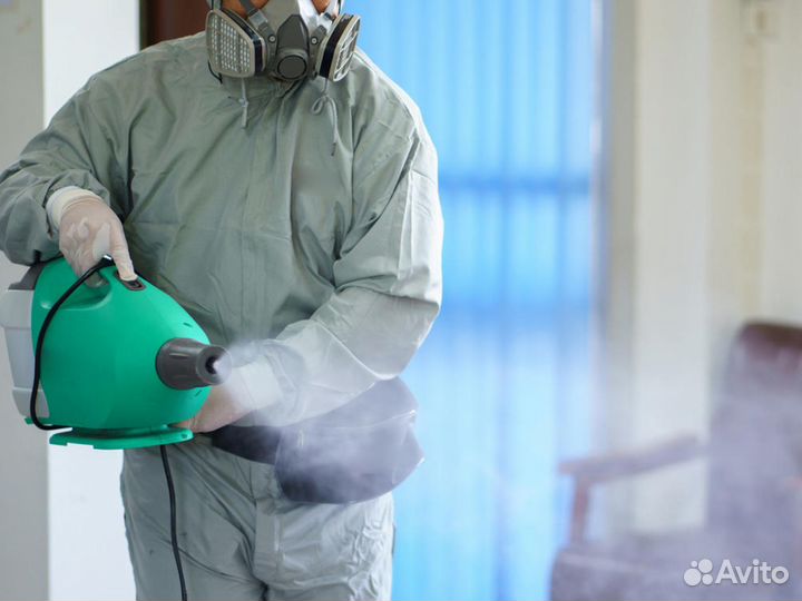 Уничтожение тараканов клопов грызунов дезинфекция