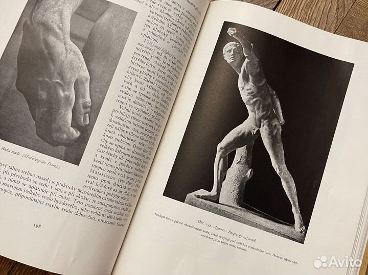 Анатомия для художников чехия