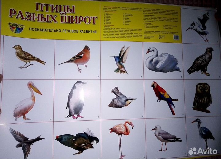 Плакаты обучающие