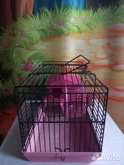 Клетка для джунгарского хомяка