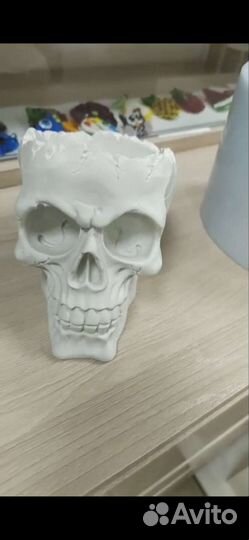 Череп,кашпо, гипс