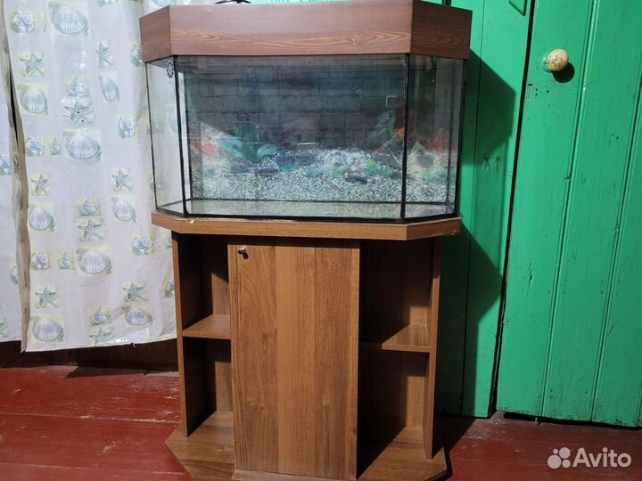 Аквариум