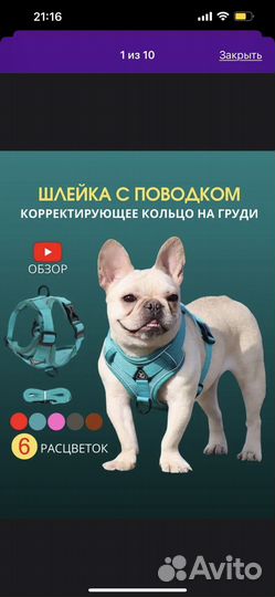 Шлейка для собаки