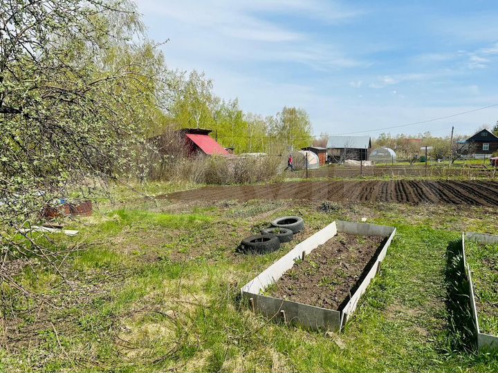 Участок 11,7 сот. (СНТ, ДНП)