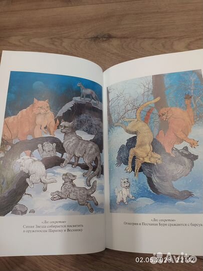 Книги Коты воители подарочное издание