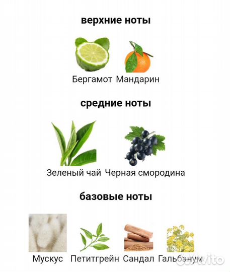 Silver Mountain Water Creed edt 120ml