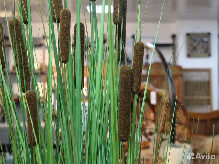 Искусственная зeлeнь