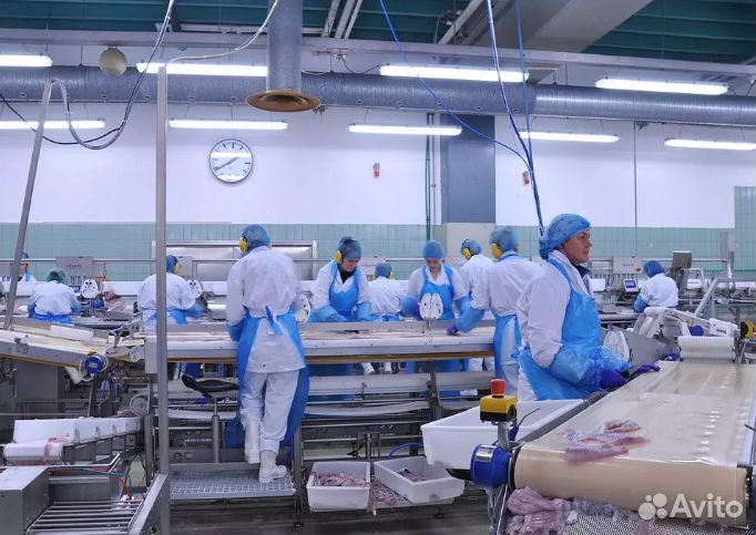 Рабочий на рыбное производство