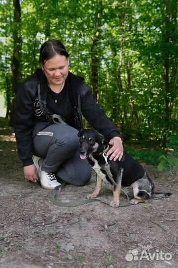 Мафальда, стерилизована