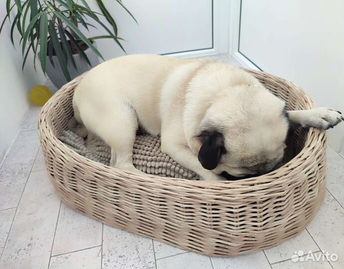 Лежанка для собаки, кошки. Плетёная