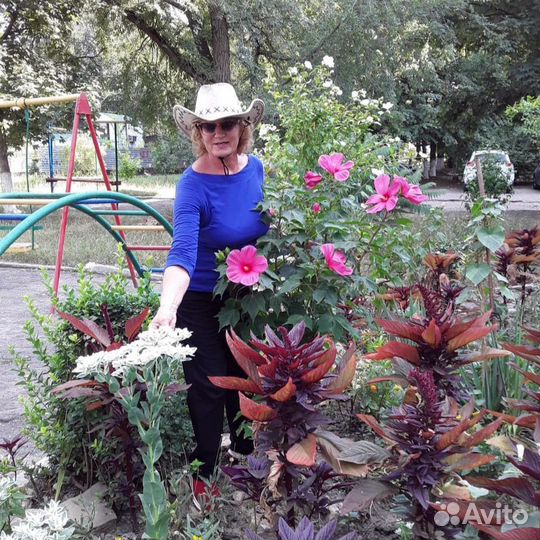 Бережный уход в больнице, доме. Ставрополь