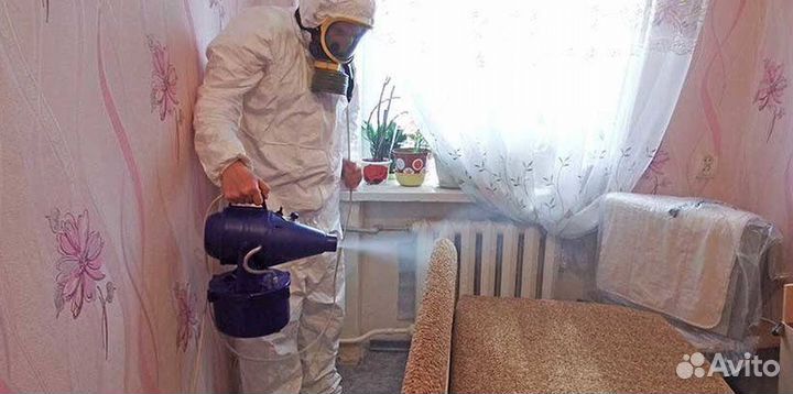 Средство для Уничтожения клопов тараканов плесени клещей