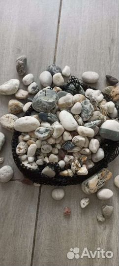 Морская галька