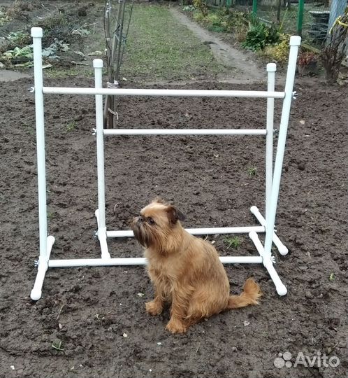 Барьер для аджилити (спорта с собакой)