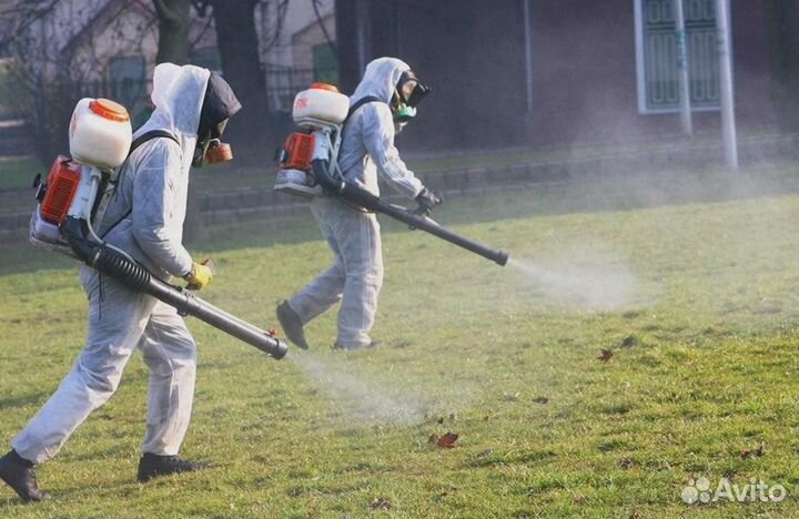 Уничтожение клопов тараканов грызунов блох клещей