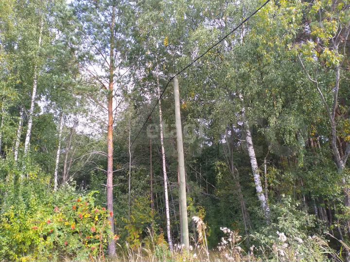 Участок 10 сот. (ИЖС)