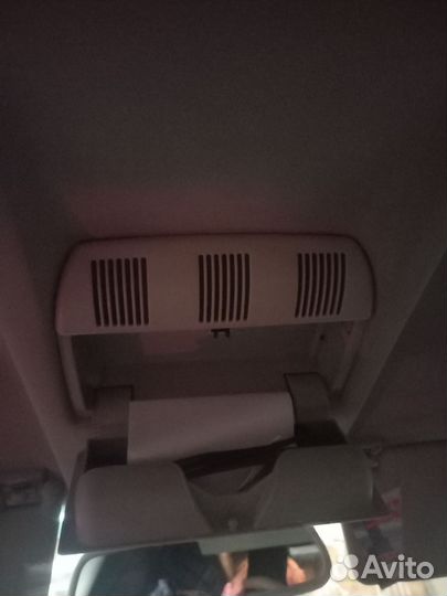 Очечник Шкода