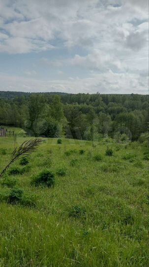 Участок 20 сот. (ИЖС)