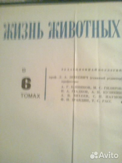 6 - томник 