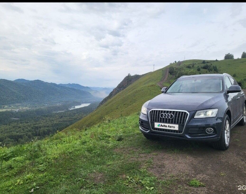Audi Q5: фото владельца