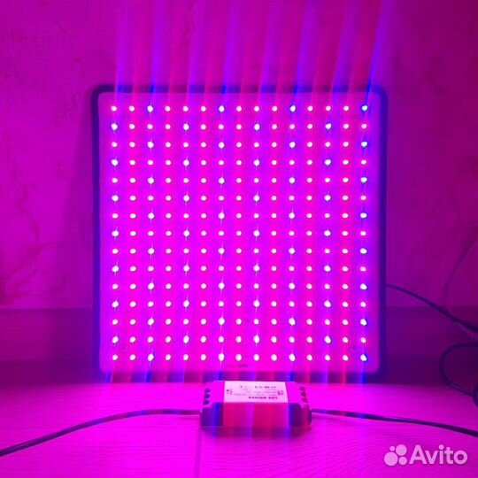 Фитолампа для растений