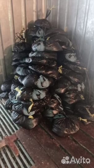 Продам лёгкое говяжье