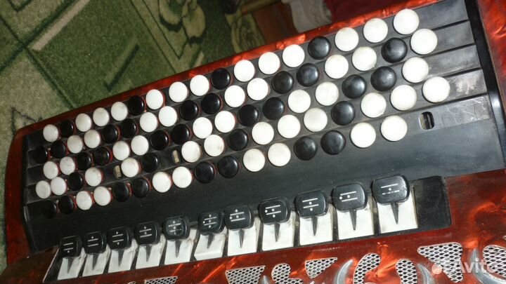 Баян weltmeister grandina