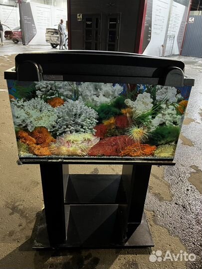 Аквариум 60 литров хороший
