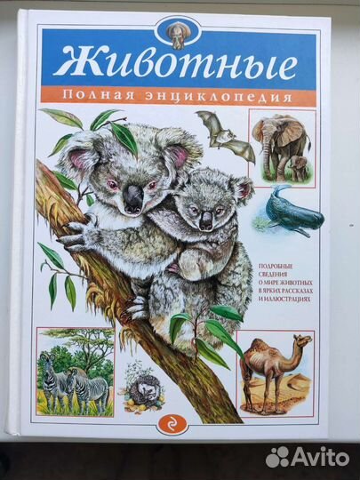 Детские книги в ассортименте