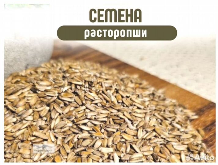 Качественные семена расторопши от производителя