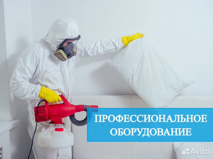 Уничтожение тараканов клопов грызунов Дезинфекция