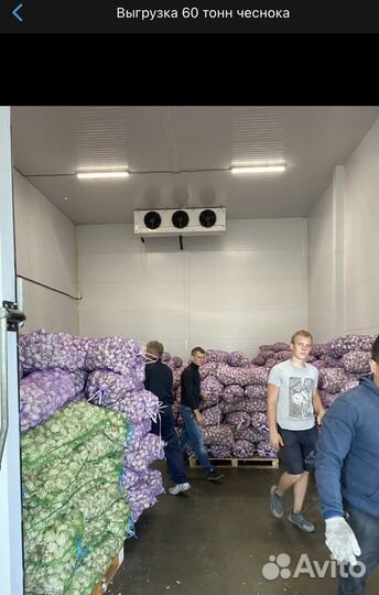 Грузчики на час/Разнорабочие