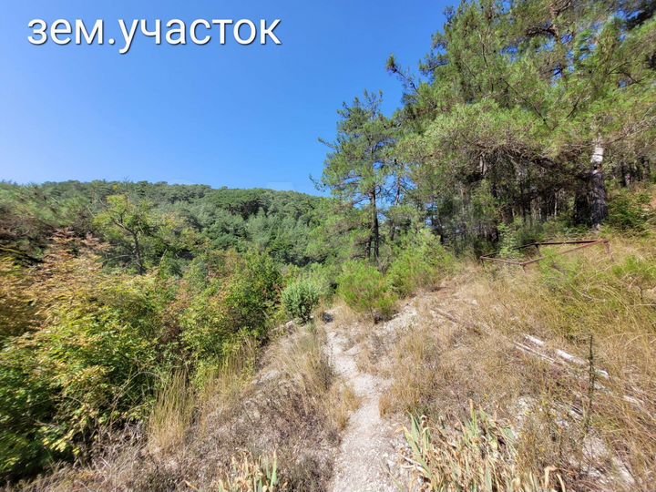 Дом 35 м² на участке 3,4 сот.