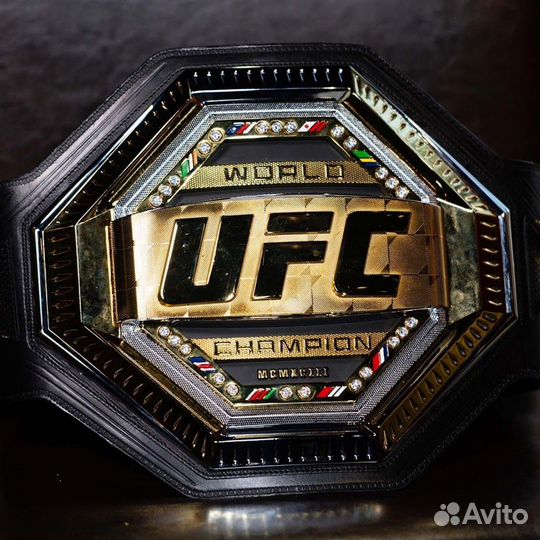 UFC 308 билеты Etihad Arena ОАЭ