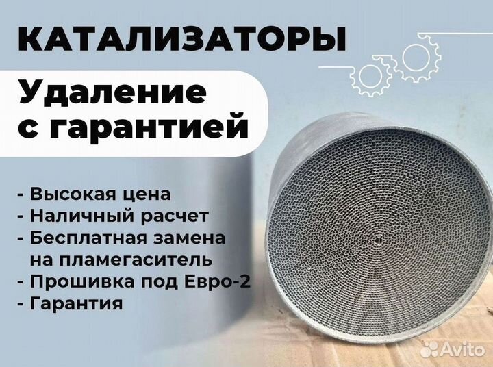 Удаление катализатора бесплатно/ чип тюнинг евро 6