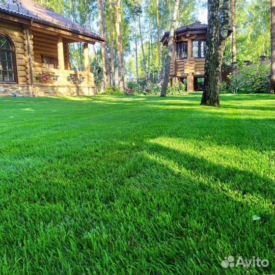 Газон посевной, укладка рулонного газона под ключ