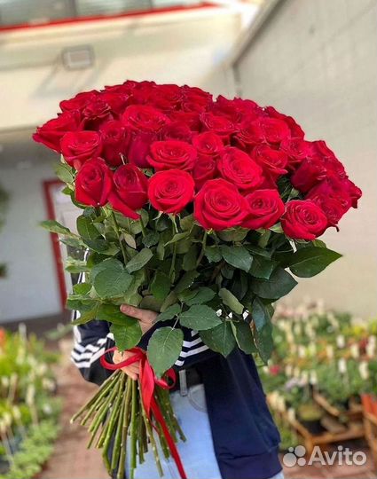 Розы Цветы Букеты 25 151 201 101 301 501 опт