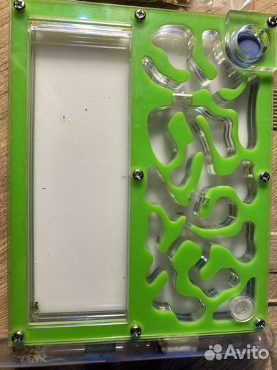 Муравейник