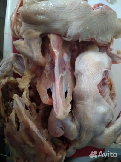 Мясо для ваших питомцев