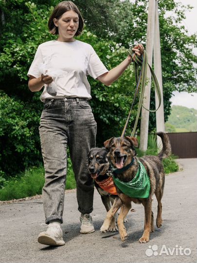 Томас хочет в семью