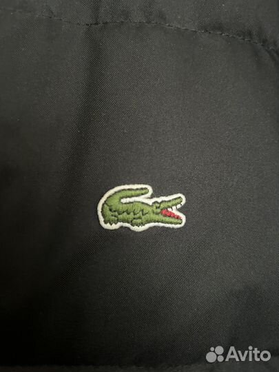 Пуховик lacoste