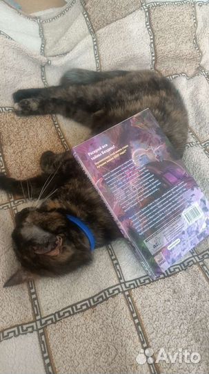 Манга Созданный в Бездне 2 том