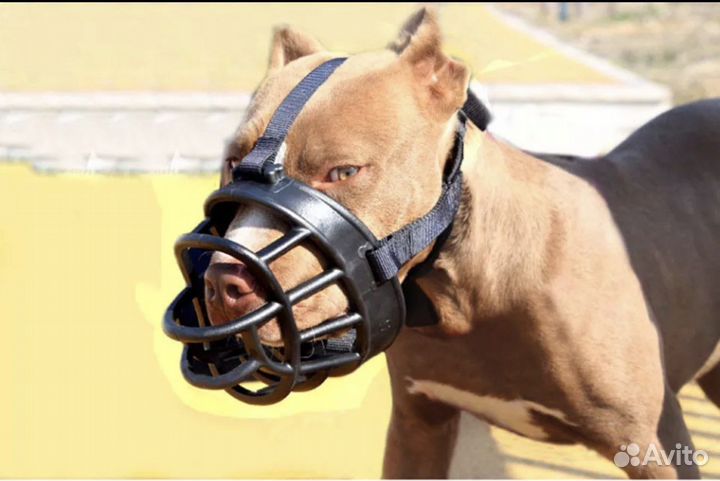 Намордник для собак