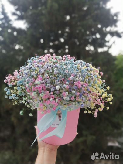 Гипсофила в коробке