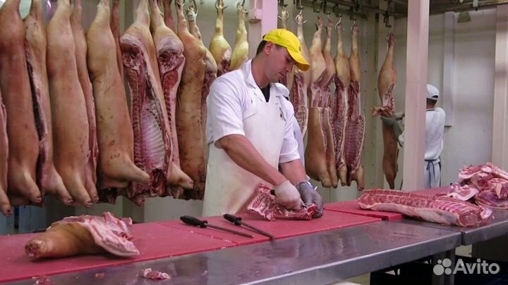 Обвальщик - жиловщик вахта в Воронеж