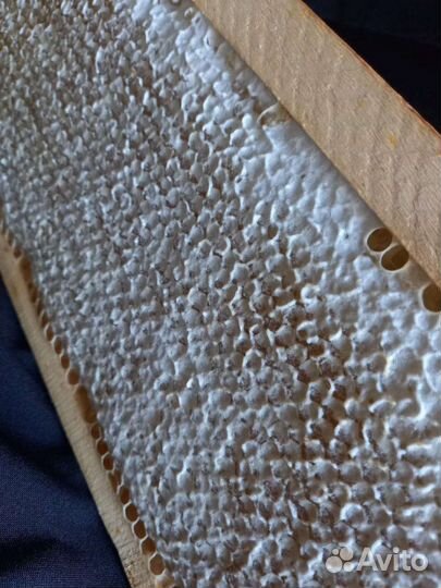 Мед в сотах